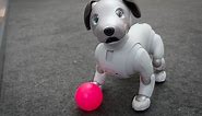 Sony’s robot dog Aibo is headed to the US for a cool $2,899