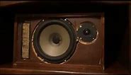 Dynaco a25 Speakers- Paid $10