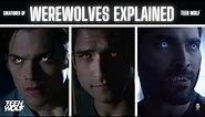 Werewolves Explained Remastered - Teen Wolf
