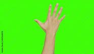 Hands grabbing on a green screen