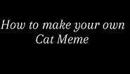 How to make your own cat meme!🐈 (Quick Tutorial)