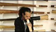 Sydney Didgeridoo Player- Sean Patrick Ryan