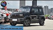 2023 WULING BAOJUN YEP | Compact Electric SUV - Exterior and Interior