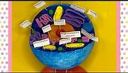 How to make animal cell model | science project | @2minutesscience548