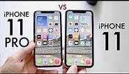iPhone 11 Vs iPhone 11 Pro In 2022! (Comparison) (Review)