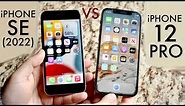 iPhone SE (2022) Vs iPhone 12 Pro! (Comparison) (Review)