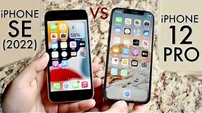 iPhone SE (2022) Vs iPhone 12 Pro! (Comparison) (Review)