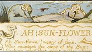 William Blake's 'Ah, Sunflower' -- reading and explanation