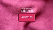 What Color Is Cerise? About Cerise Color