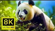 8K LEGENDARY ANIMALS - TOP BEAUTIFUL ANIMALS - 8K (60FPS) ULTRA HD