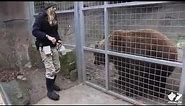 Zoo Insider - Training