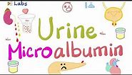 Microalbumin in the Urine (Microalbuminuria) - Diabetes Mellitus & Kidney Disease - Nephrology Labs