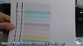 Canon Pixma iP8750: How to Print a Nozzle Check Test Page