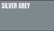 10 Hours RAL 7001 Silver Grey SCREEN SCREENSAVER