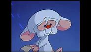 Genuinely the saddest scene from Pinky And The Brain