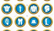 Body Parts Icons Blue Circle Set Stock Vector (Royalty Free) 703001830 | Shutterstock