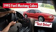 1993 Ford Mustang Cobra - Test Drive - 14,000 Original Miles - Tobin Motor Works