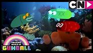 Bowl of Fish | The Amazing World of Gumball | Cartoon Network