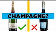 Champagne Explained: The difference between Sparkling Wines|Champagne | Cava | Prosecco | California