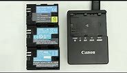 Different type of Canon LP-E6 Batteries