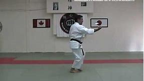Mushin-Kai International - Junino Kata (Shito-ryu Karate)