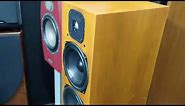 Avalon Acoustics NP Evolution 2.0 Loudspeaker System