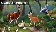 The Magical Forest Story || Forest Stories || Discovering the Secrets of the Enchanted Forest