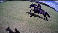 Friesian Horse races Arabian horse