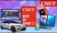 Best in Show CES 2024: The Coolest Tech