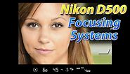 Nikon D500 Tutorial Part 2 | How To Focus Training
