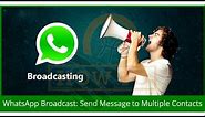 How to send WhatsApp message to all contacts list