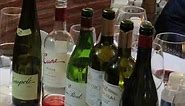 Cata de Vinos del grupo CVNE (Compañía Vinícola del Norte de España) - Cune; Viña Real; Contino