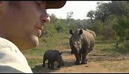 Lucky Escape from a Black Rhino | Ultimate Killers | BBC Earth