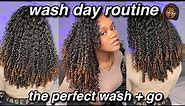 💕the SECRET to the PERFECT wash and go! | 3b-3c curly hair routine