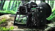 Pentax K-1 Full Frame DSLR Review - Clifton Cameras