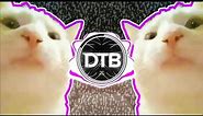 Cat Vibing Meme (PedroDJDaddy 2021 Trap Remix)