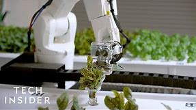 How This Robotic Farm Is Reimagining Agriculture