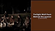 Twilight Wolf Pack Behind The Scene