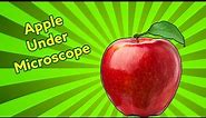 Apple Under Microscope