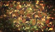 Camouflage Video Background