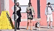 Helena Christensen wears a face mask walking dog amid pandemic