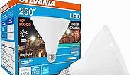 SYLVANIA Night Chaser LED PAR38 Light Bulb, 250W=25W, Wet Rated, 2650 Lumens, 5000K, Daylight - 1 Pack (74794)
