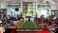 🔴LIVE: 3'Oclock Prayer & Divine Mercy Chaplet