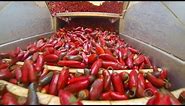 Study suggests health benefits from spicy food