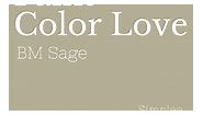 Clary Sage by Sherwin Williams is an earthy green with gray undertones.It is a versatile color that pairs beautifully with both dark and light neutrals, including soft beiges and crisp whites. This color works particularly well in bedrooms, living rooms, and bathrooms, where a tranquil atmosphere is desired. Its muted hue pairs beautifully with both light and dark furniture, making it a versatile option for various design styles.✨ Have you tried Clary Sage in your home? ♥️Follow Simplee DIY for 