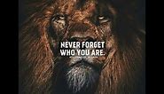 Awesome inspiring Lions quotes.