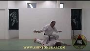 Okinawa Shorin-ryu Karate: Parent Style of Shotokan (clip 5)