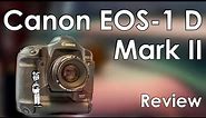 Canon EOS-1 D Mark II Review and Sample Photos