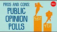 Pros and cons of public opinion polls - Jason Robert Jaffe
