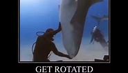 Man VS Shark (get rotated idiot meme) #shorts